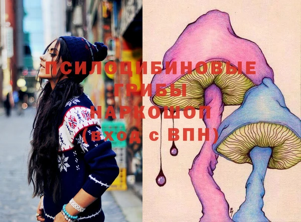 сатива Арсеньев